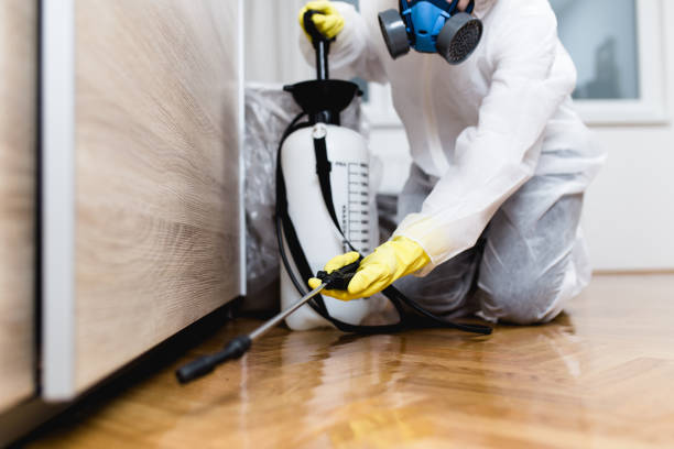 Best Pest Control Near Me  in South Lake Tahoe, CA
