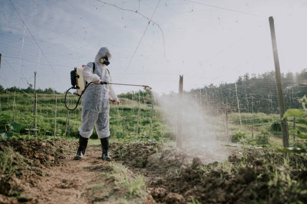 Best Mosquito Control Services  in South Lake Tahoe, CA