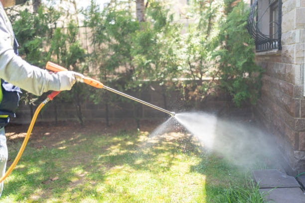 Best Bed Bug Extermination  in South Lake Tahoe, CA